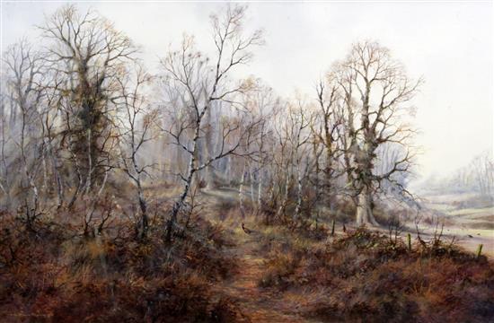 § Colin Burns (b.1944) Pheasant in woodland 23 x 35in. § Colin Burns (b.1944) Pheasant in woodland 23 x 35in.