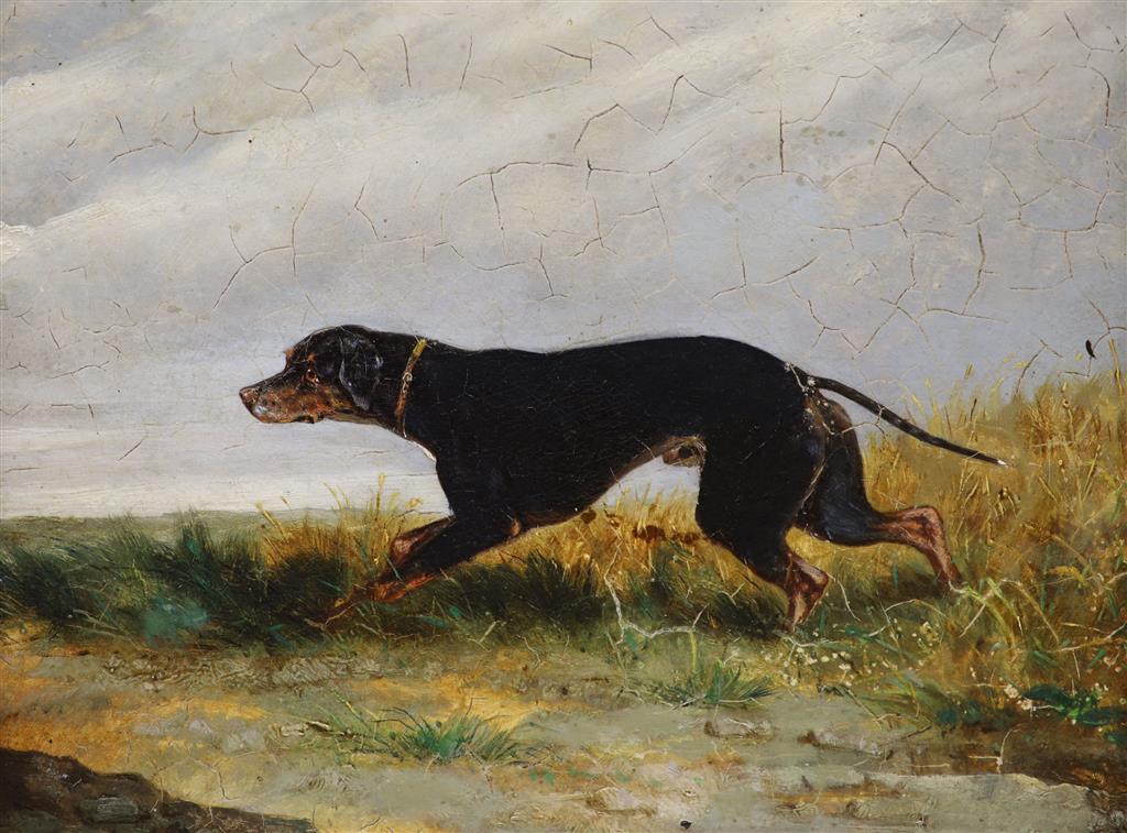 Hung Hounds by Donald Armfield