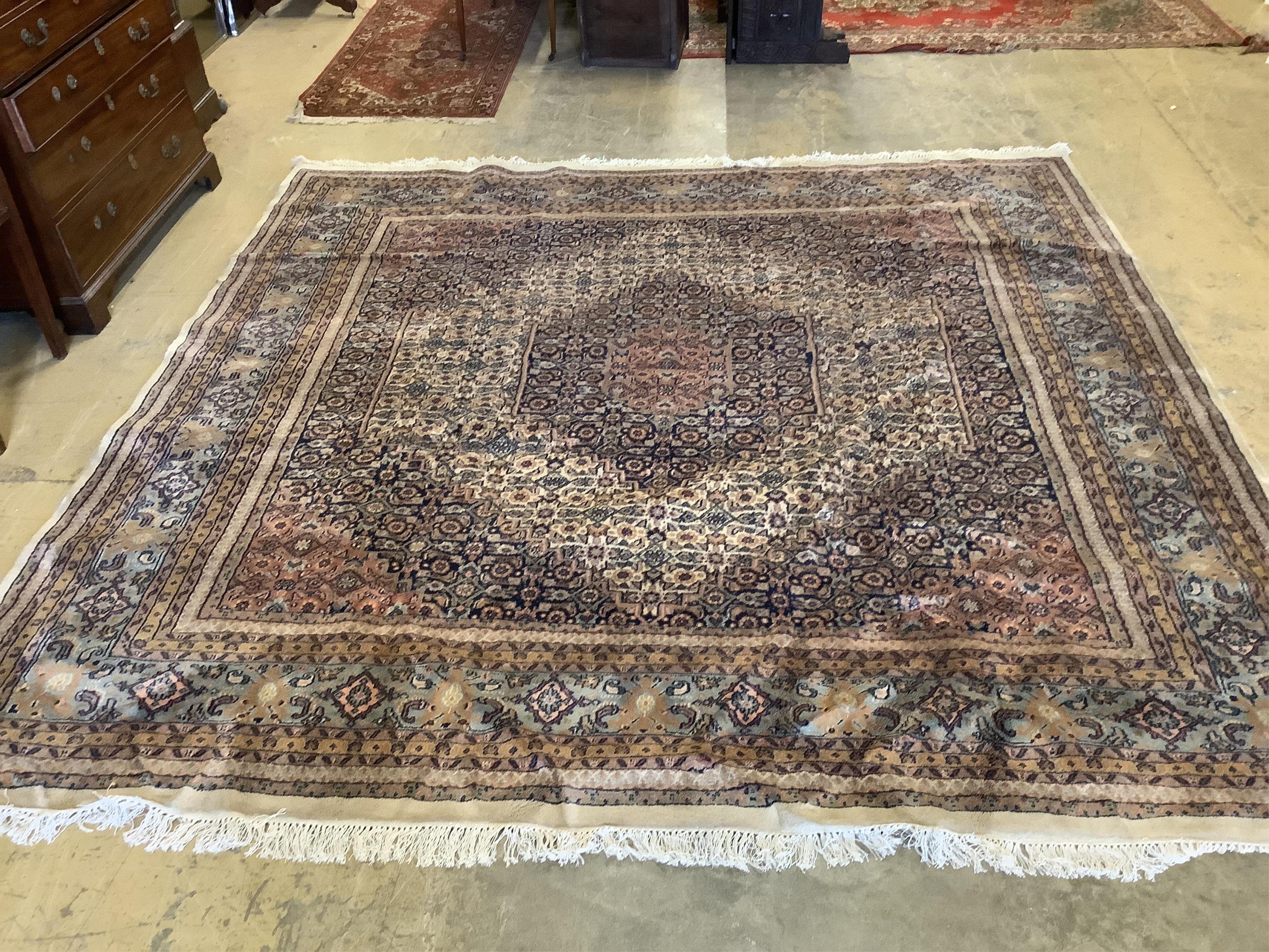 A North West Persian ivory ground carpet, 294cm x 299cm, matching previous Lot. Condition - fair                                                                                                                            