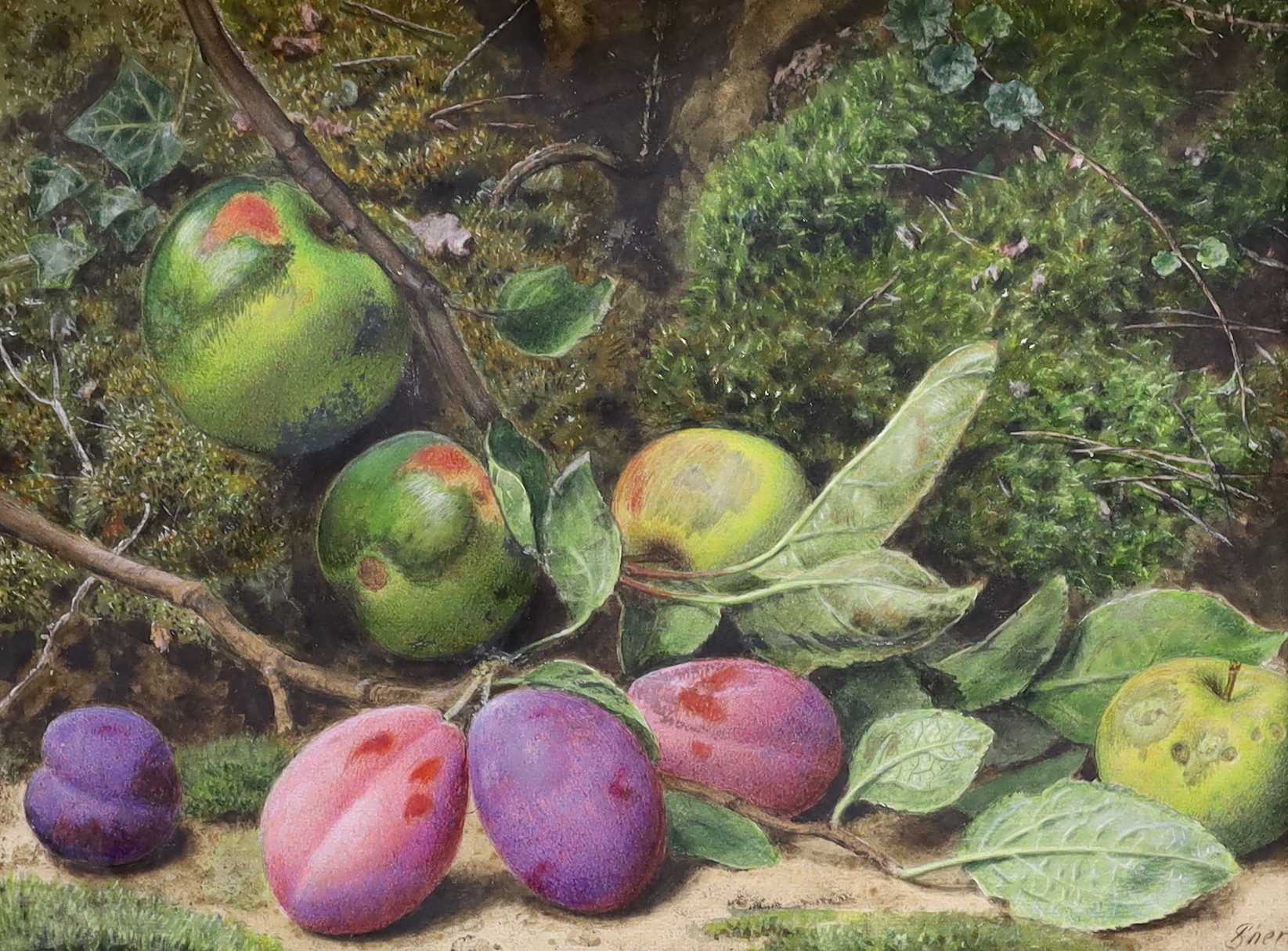 John Sherrin (1819-1896), watercolour, Still life of fruit and leaves, signed, 38 x 29cm                                                                                                                                    