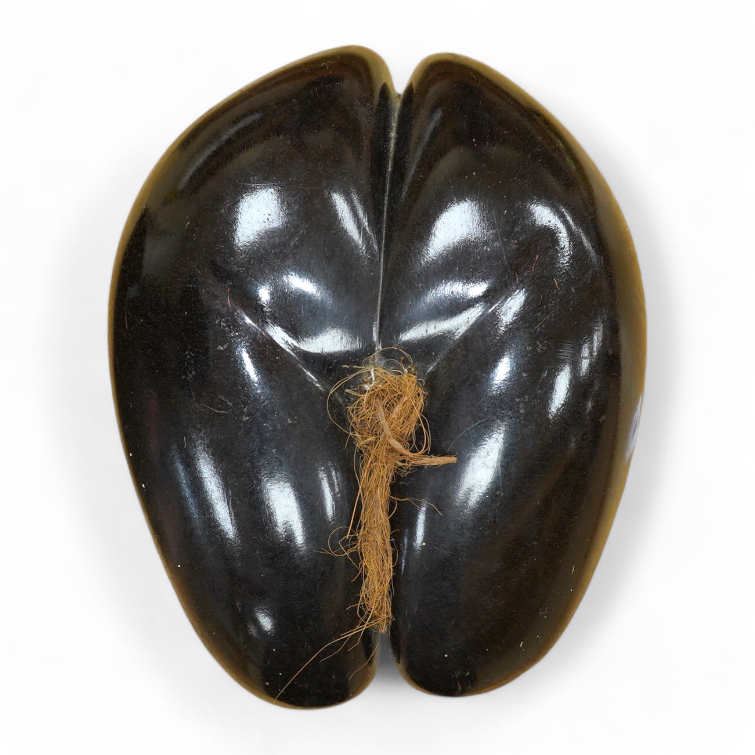 A coco-de-mer nut, 32cm x 25.5cm. Condition - good.                                                                                                                                                                         