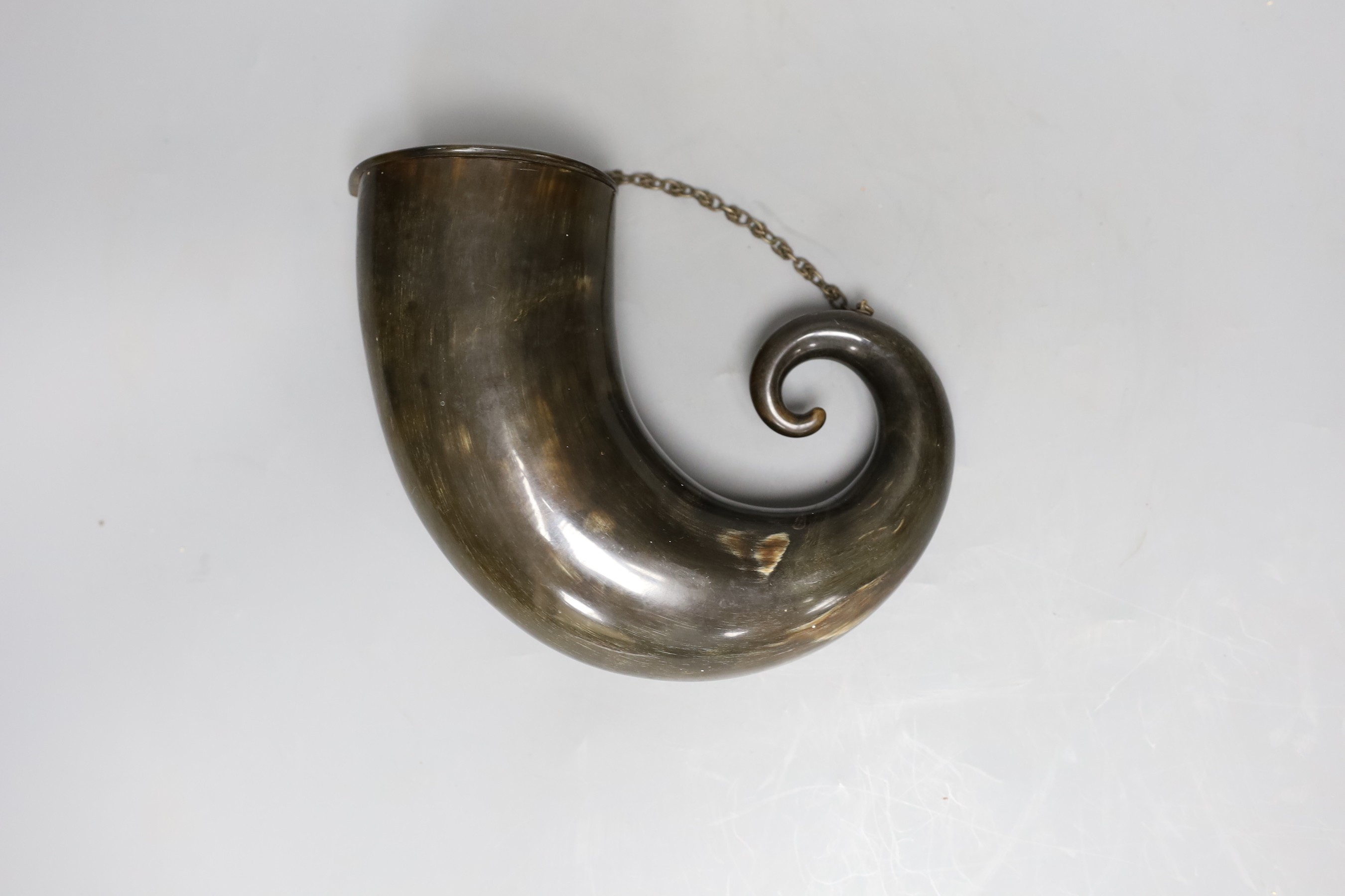 A large ram’s horn mull, 23cms wide                                                                                                                                                                                         