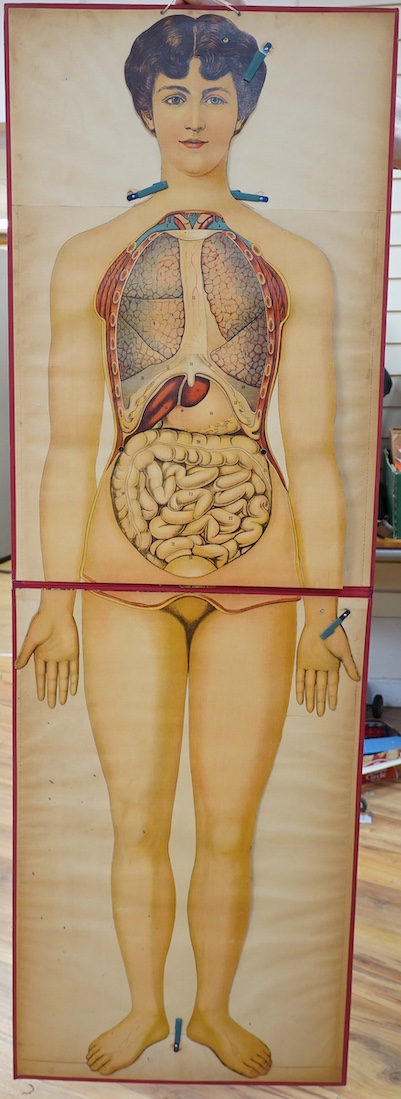 Two late 19th century anatomical publications; Philips’ Popular Manikin, containing a foldout chart of the human body showing cross-sections of the internal organs, etc., 49.5cm x 20cm, together with a large poster style