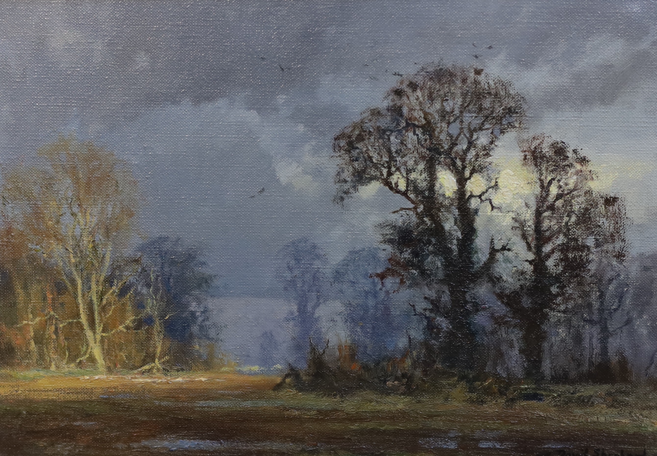 David Shepherd O.B.E. (British, 1931-2017), 'Rainy afternoon', oil on canvas, 25 x 36cm                                                                                                                                     