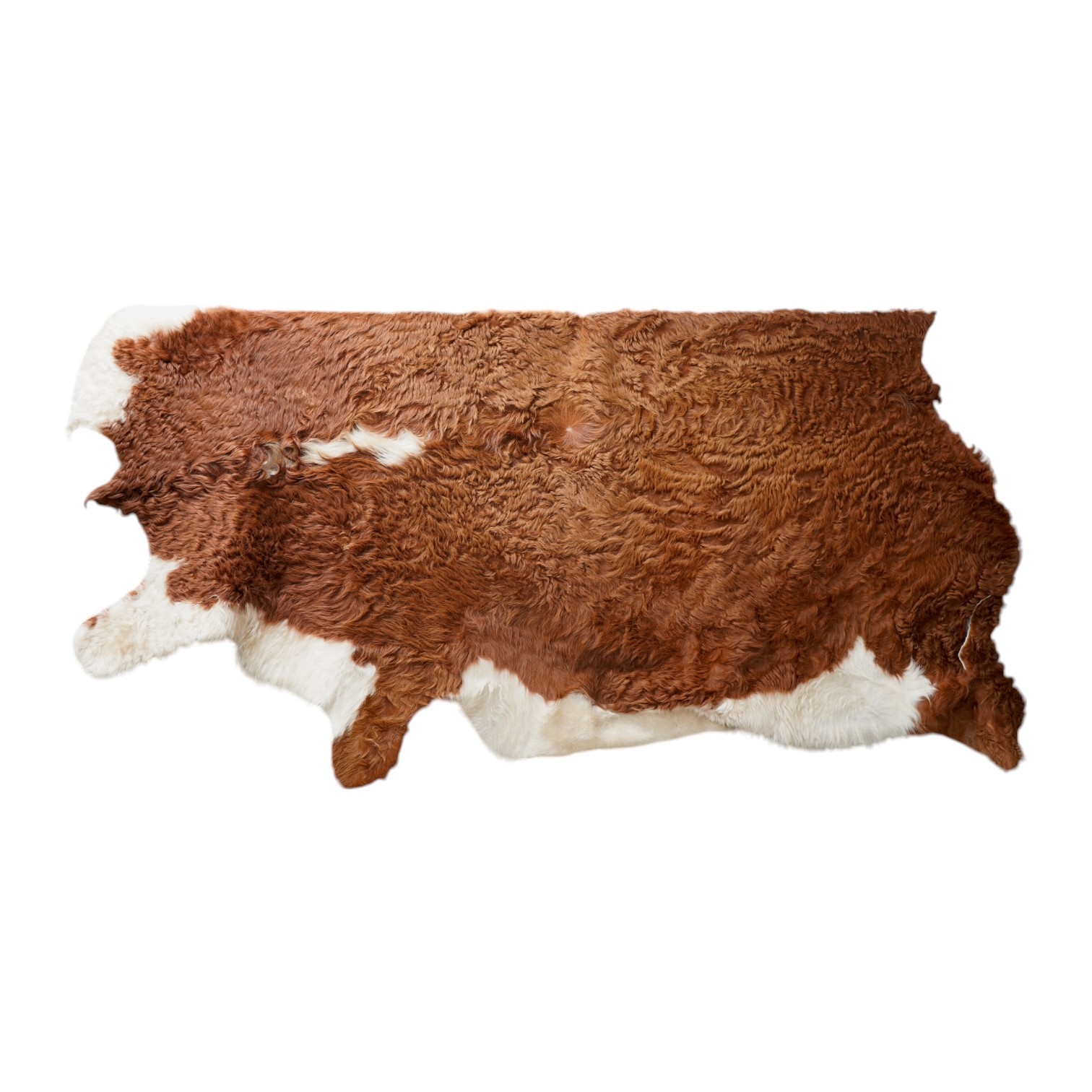 A cowhide rug, 190cm wide, 230cm long. Condition - fair                                                                                                                                                                     