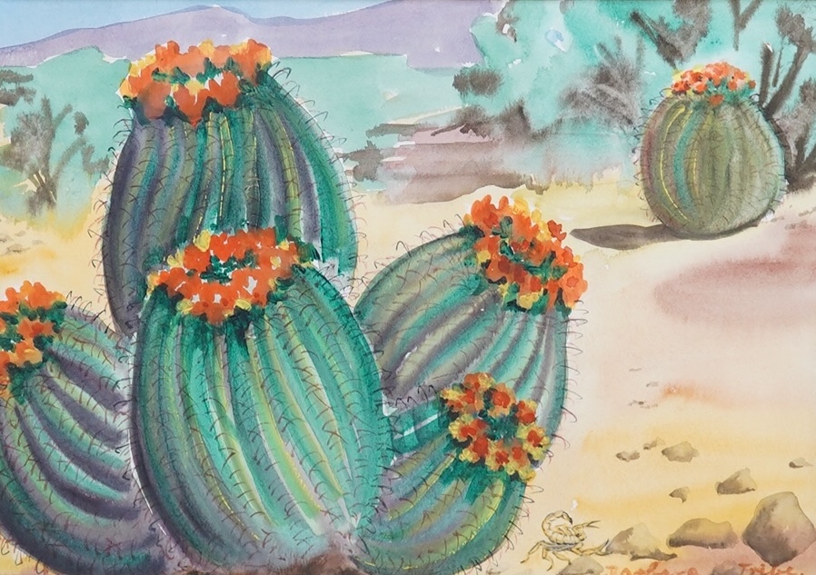 Barbara Tribe RWA, FRBS (1913-2000), watercolour, ‘The Fish-hook, Barrel Cactus Sonoran Desert, Arizona’, signed, label verso, 24 x 33cm. Condition - good                                                                  