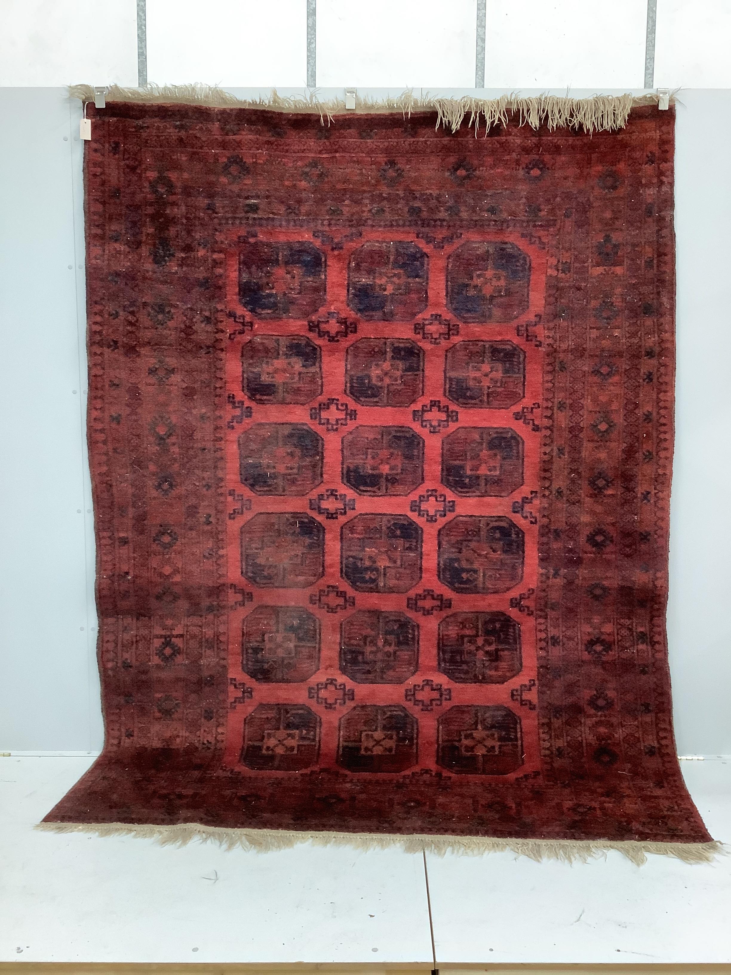 An Afghan red ground carpet, 280 x 206cm                                                                                                                                                                                    