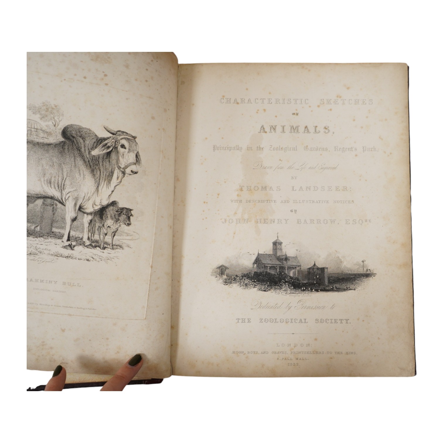 Landseer, Thomas - Characteristic Sketches of Animals, primarily for the Zoological Gardens, with Descriptive and Illustrative Notes by John Henry Barrow, published by Moon, Boys and Graves                               