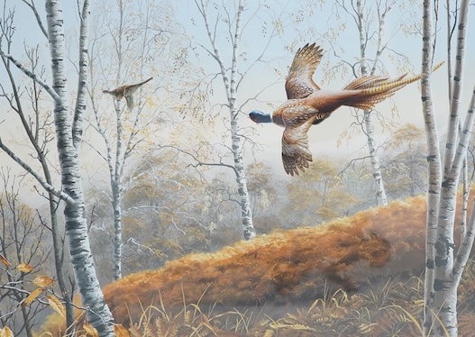 Adrian Rigby (b.1962), heightened watercolour, Pheasants 'Alarm in the woods', 41 x 58cm. Condition - good                                                                                                                  