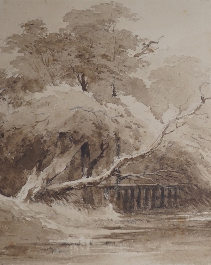 Circle of John Crome (1768-1821), monochrome watercolour, Trees beside a river, bears signature and dated 1806, 24 x 20cm                                                                                                   