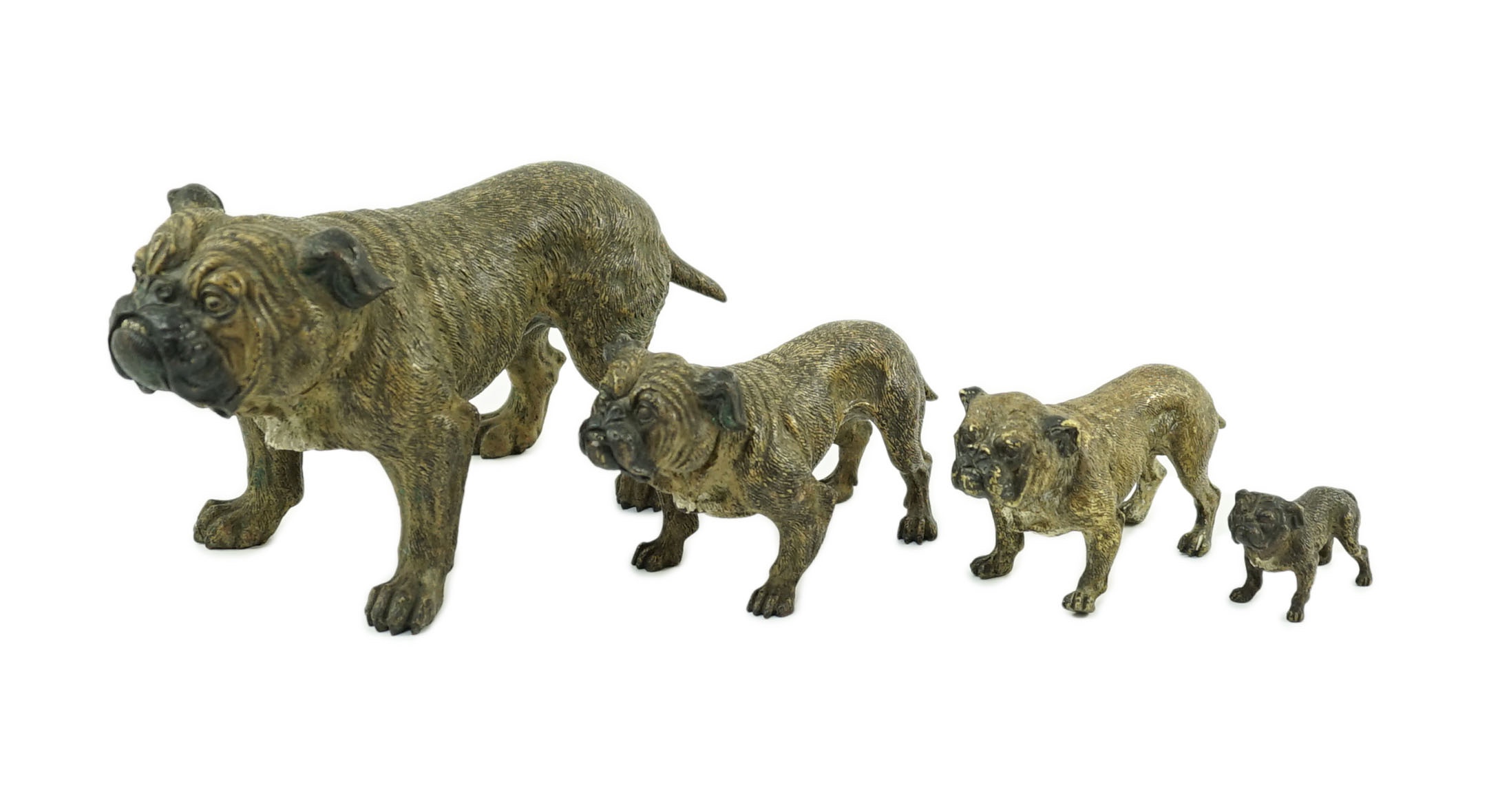 A graduated set of four Austrian cold painted bronze bulldogs 18.5 to 5cm.                                                                                                                                                  