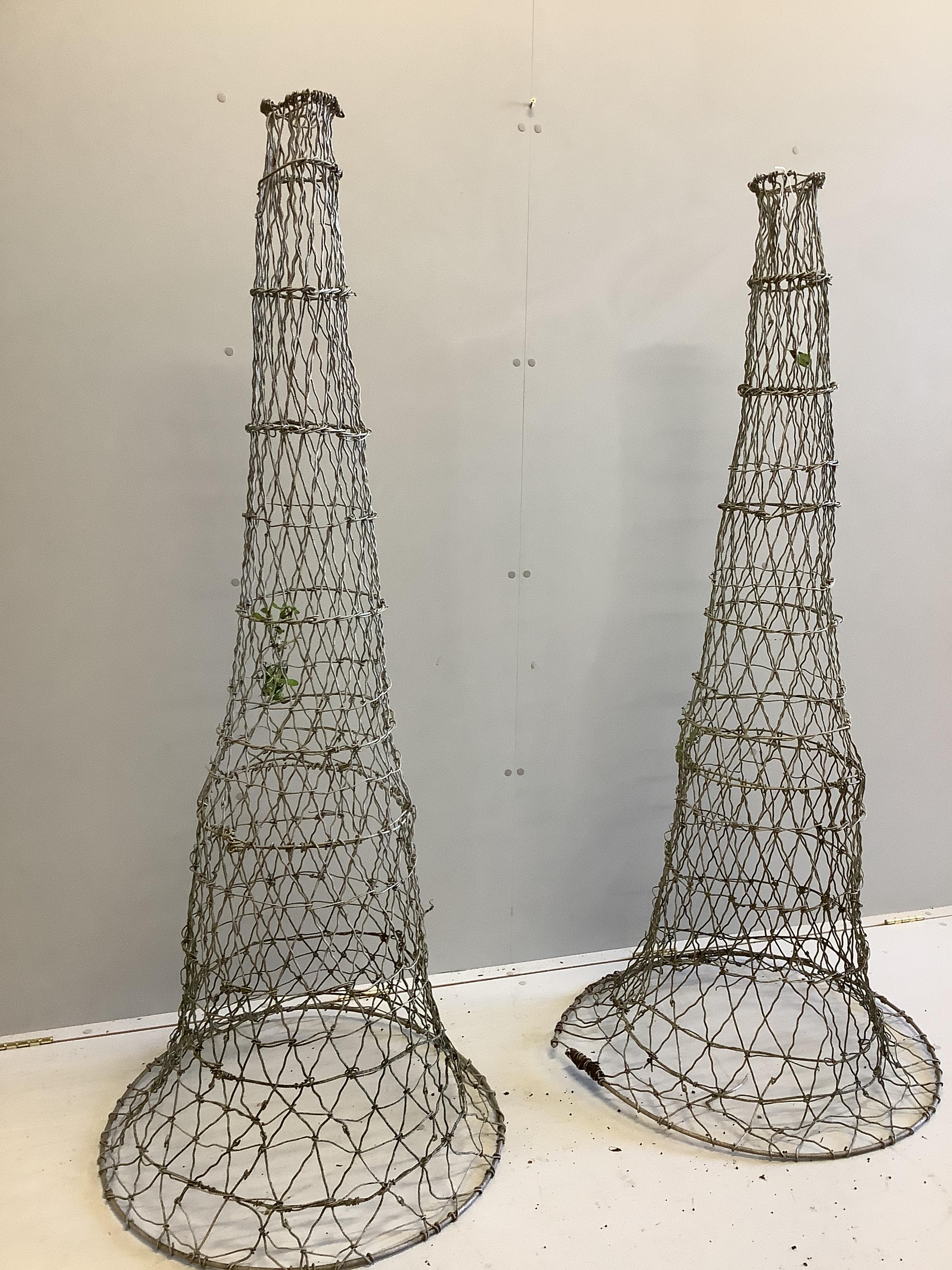 A pair of wirework salmon traps (now as growing frames), height 163cm                                                                                                                                                       