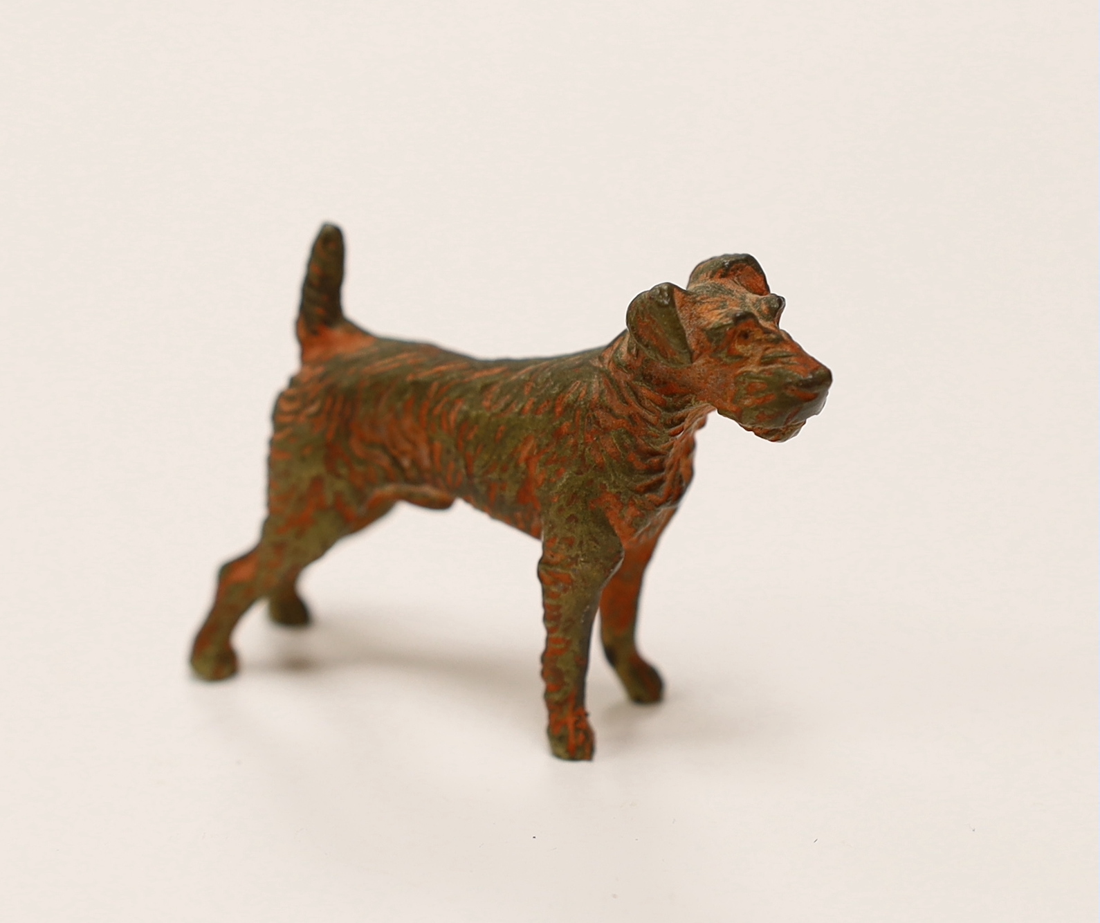 An Austrian cold painted bronze of a Airedale Terrier, approx 5cm wide                                                                                                                                                      