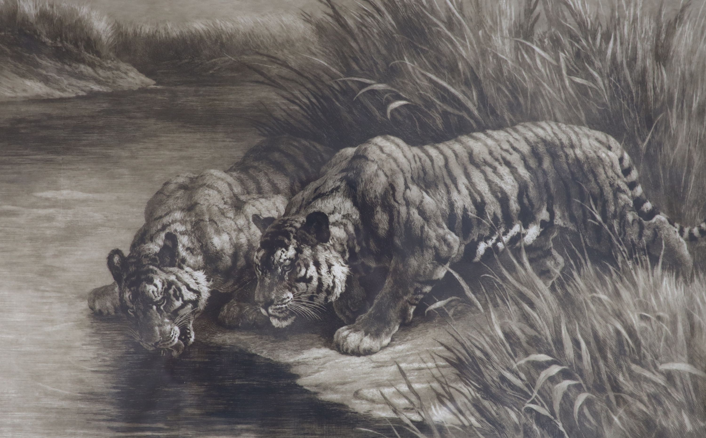 Herbert Thomas Dicksee (1862-1942), etching, - "Thirst", two tigers drinking from a river, signed in pencil, 42 x 68cm                                                                                                      