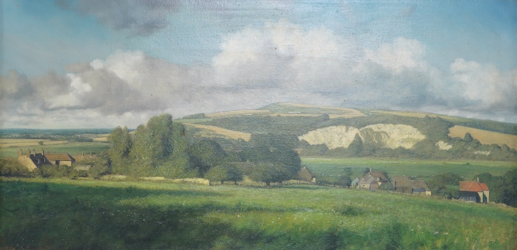 Local interest, oil on canvas, Sussex Downs, unsigned, 29 x 59cm. Condition - good                                                                                                                                          