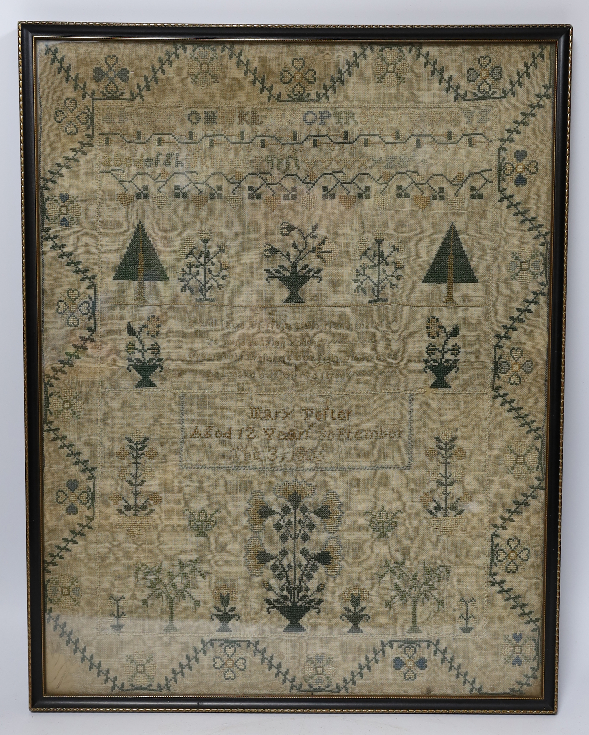A framed William IV sampler, by Mary Telter, aged 12 years September the 3, 1833, with alphabet, religious verse, tree and floral spot embroidery all within an embroidered border, sampler 32cm wide x 41.5cm high         