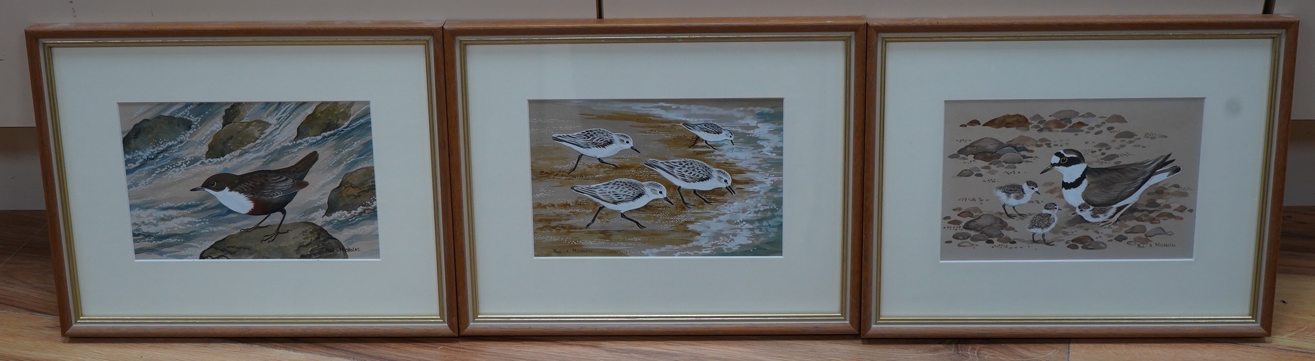 Paul A Nicholas (b.1943), set of three watercolour and gouaches, including ‘Little Ringed Plover’ and ‘Dipper’, each signed, 12 x 19cm. Condition - good                                                                    
