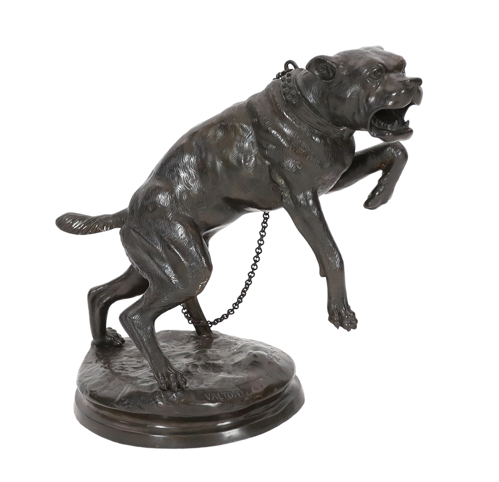 After Charles Valton (French, 1851-1819), a bronze model of a lunging Mastiff 'Passez au Large', 63cm wide, 59cm high                                                                                                       