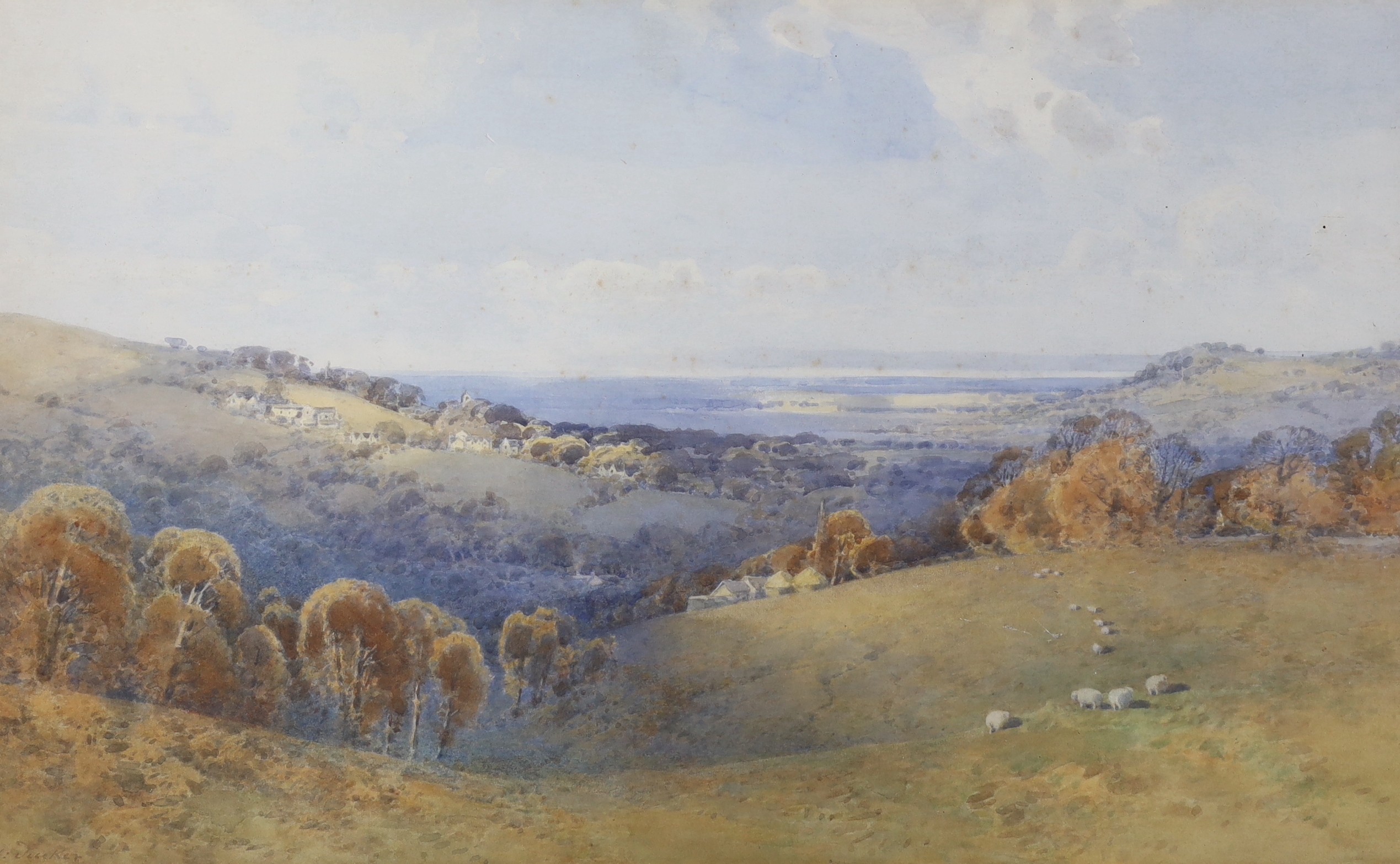 Frederick Tucker (fl.1880-1915), watercolour, Sheep on the Sussex Downs, signed, 43 x 69cm                                                                                                                                  