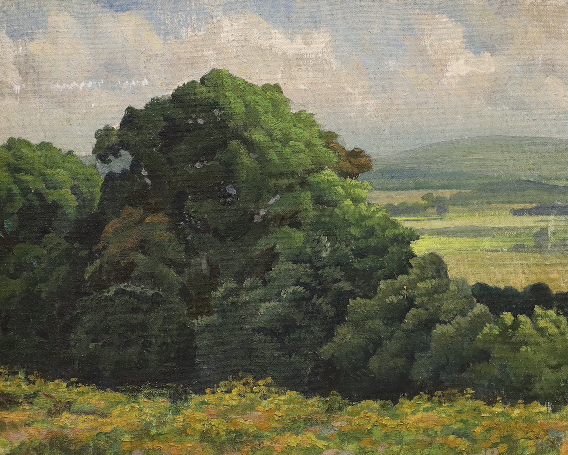 Modern British, oil on canvas, Trees in a landscape, label remnant verso, 40 x 50cm                                                                                                                                         