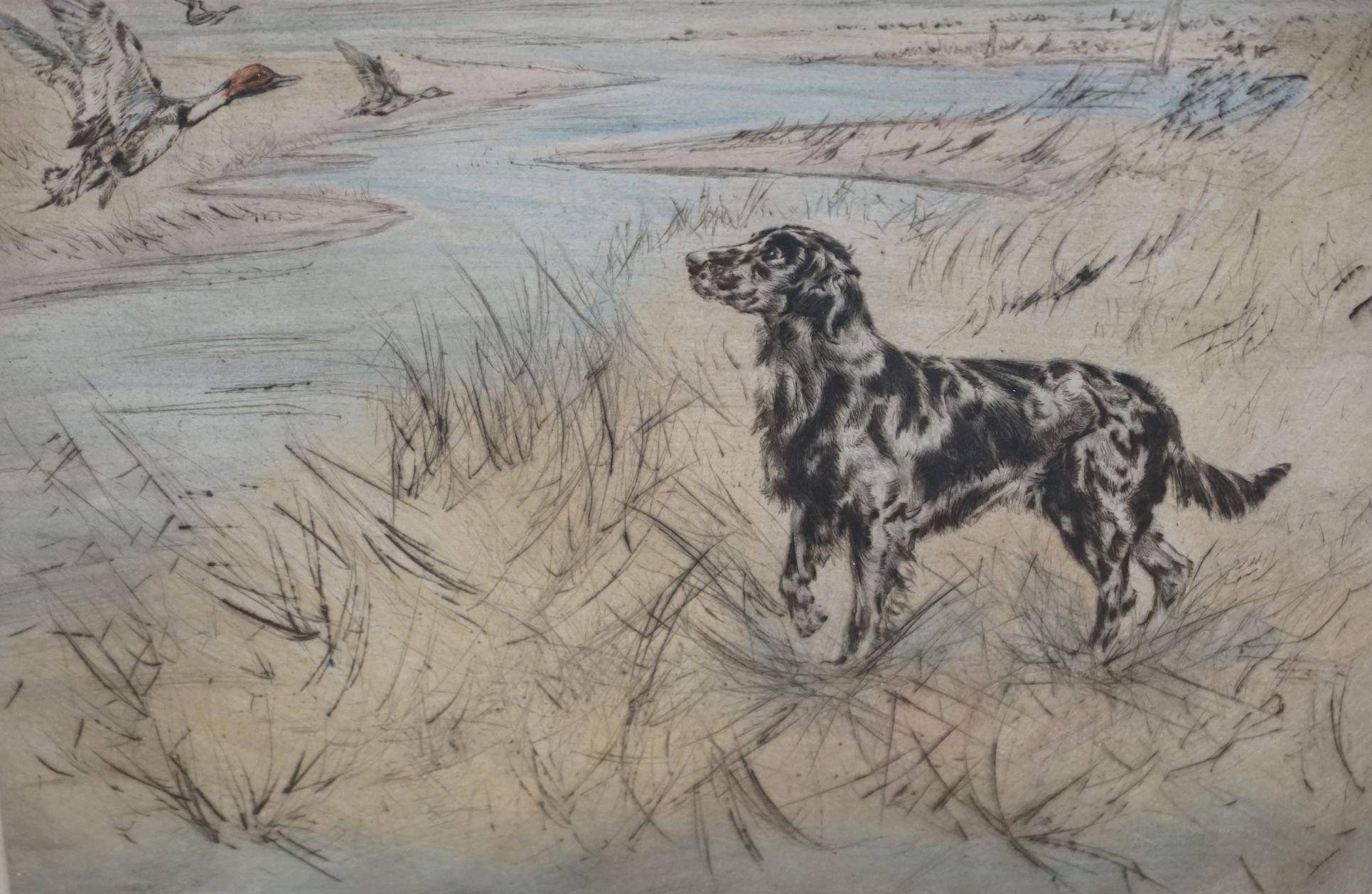 Henry Wilkinson (1921-2011), colour etching, gun dog in a landscape, signed in pencil, limited edition 102/150, 27 x 36cm. Condition - fair                                                                                 