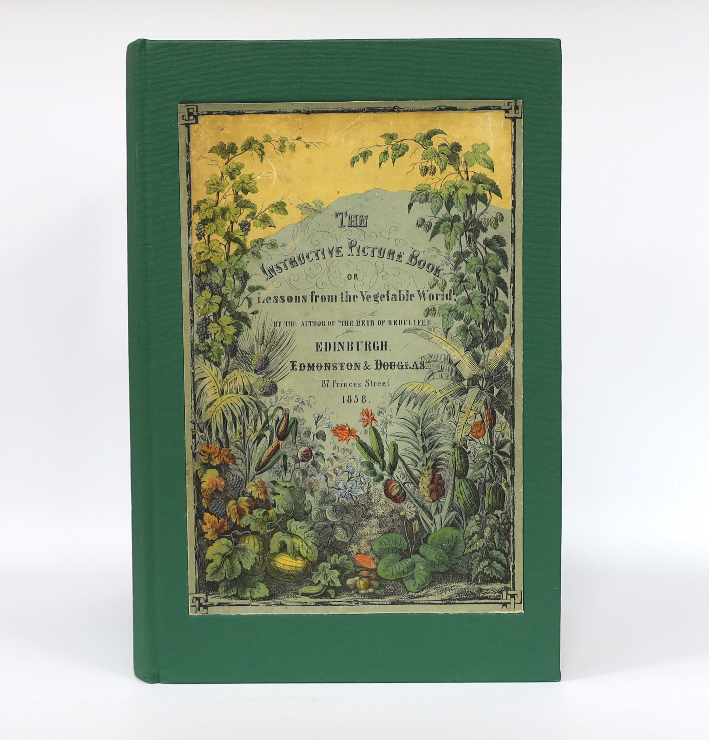 [Yonge, Charlotte Mary] - The Instructive Picture Book, or Lessons from the Vegetable World, tall 4to, original pictorial boards, with 31 striking hand-coloured double-page plates of fruit, flowers, vegetables, fungi etc