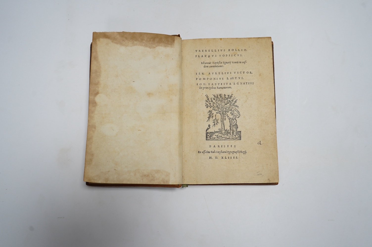 Trebellius Pollio & Flavius Vopiscus - (Historia Augusta) Johannis Baptiste Egnatius Veneti in eosdem annationes. Sex. Aurelius Victor. Pomponius. Joh. Baptista Engatius de Princibus Romanorum. pictorial device on title.