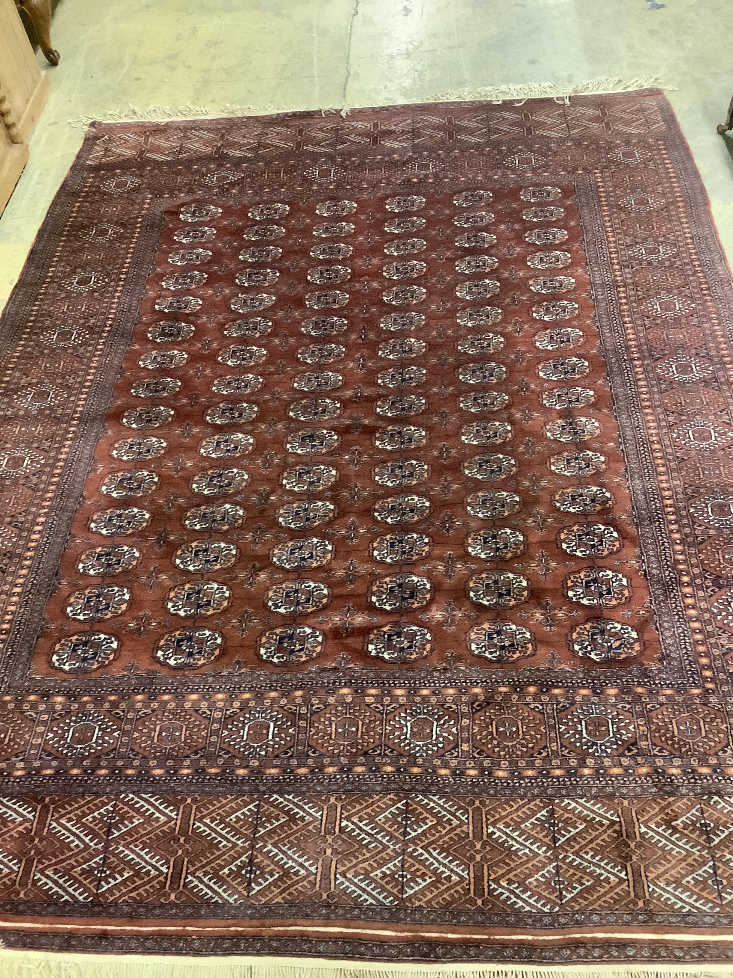 A Bokhara red ground carpet,310 x 237cm                                                                                                                                                                                     