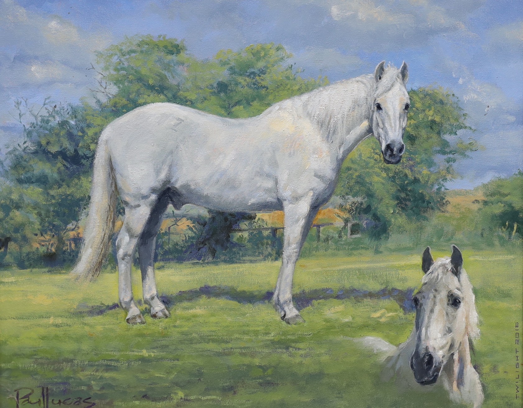 Paul Lucas ASEA, oil on canvas, 'Twilight' portrait of a white stallion, signed and dated 20 16, 39 x 49cm                                                                                                                  