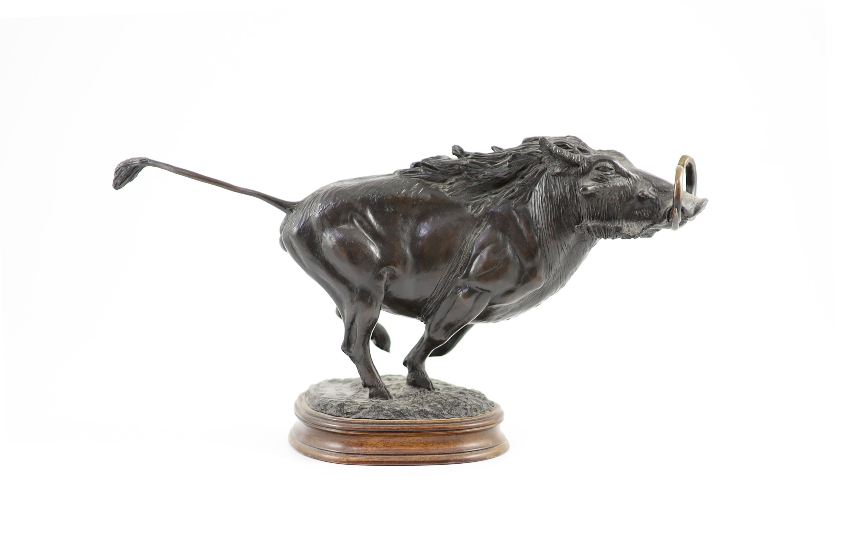 Tim Nicklin. A bronze model of a running warthog length 38cm height 20cm                                                                                                                                                    