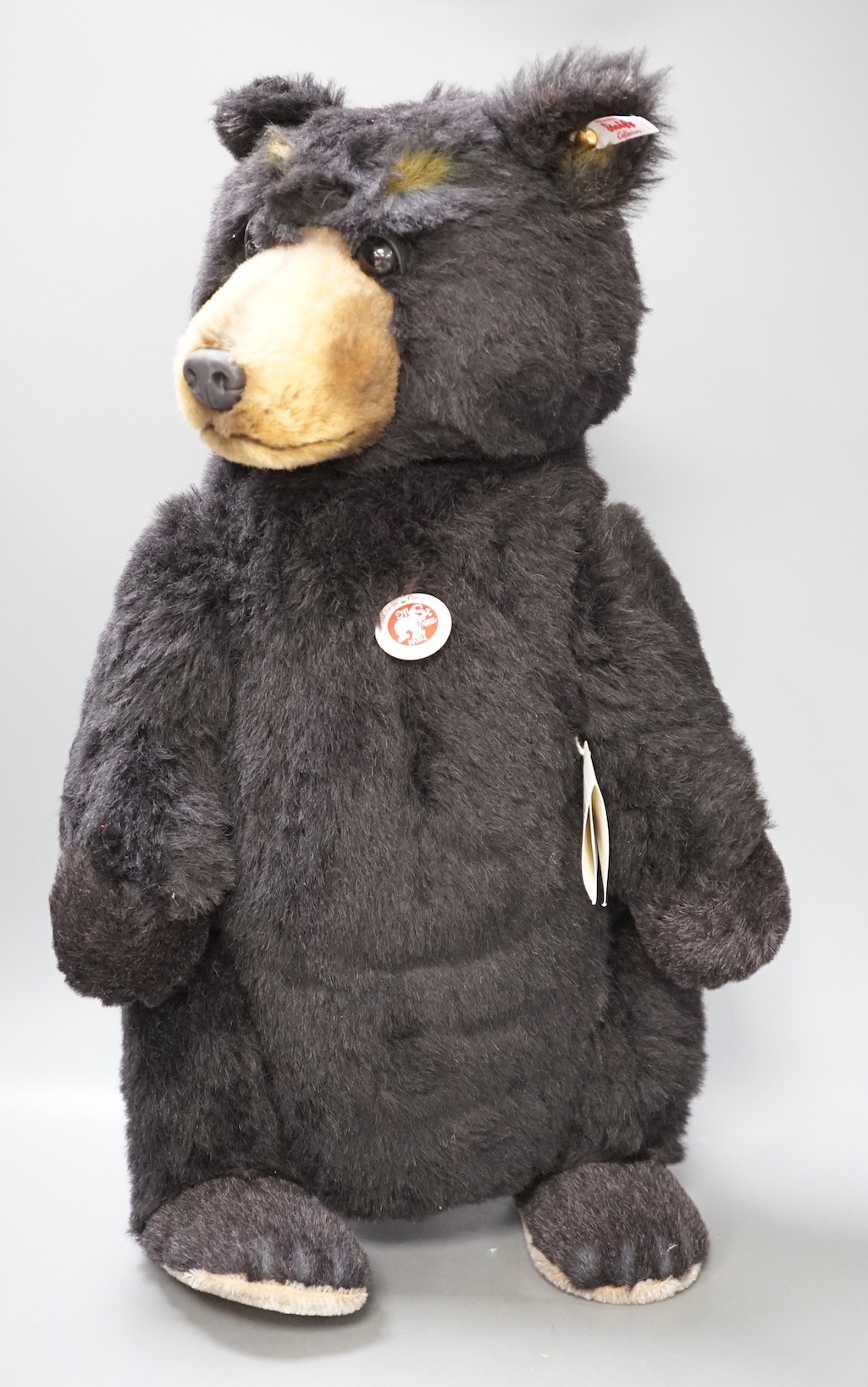 A boxed Steiff Schwarzbar bear, 52 cms high.                                                                                                                                                                                
