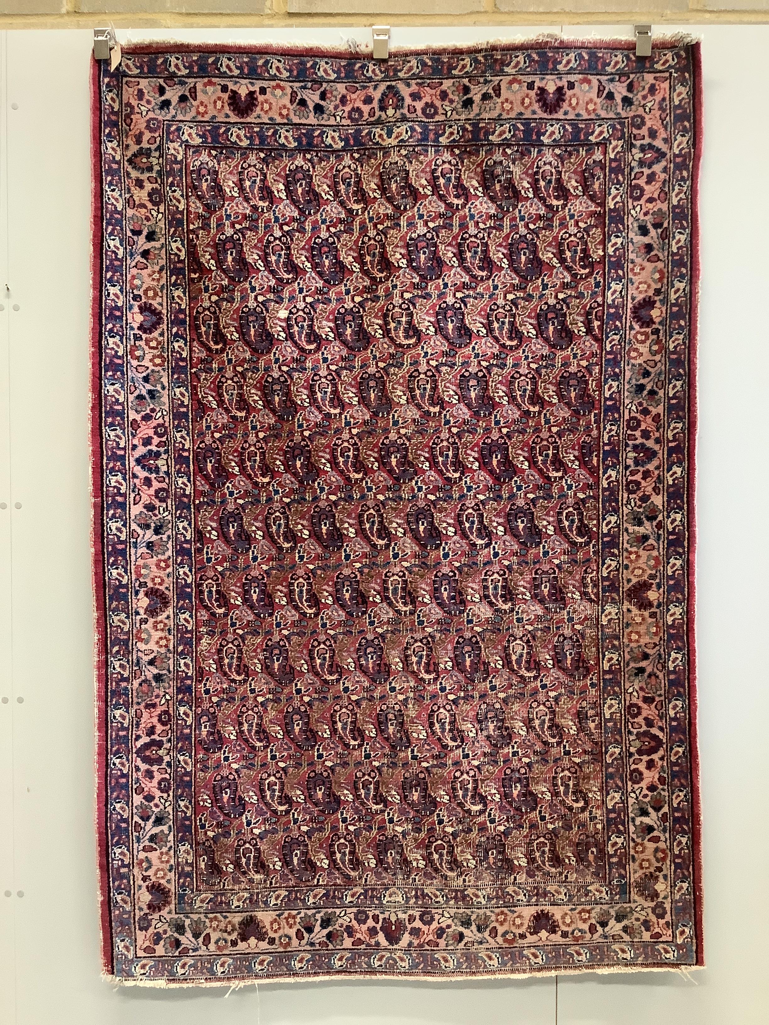 A North West Persian red ground Boteh rug, 203 x 134cm                                                                                                                                                                      