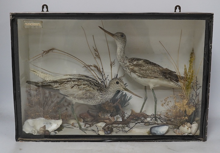 A 19th century cased taxidermy group of two Greenshanks from the ‘Frank and Millie Bells’ collection, 30.5 x 46cm. Condition - good                                                                                         