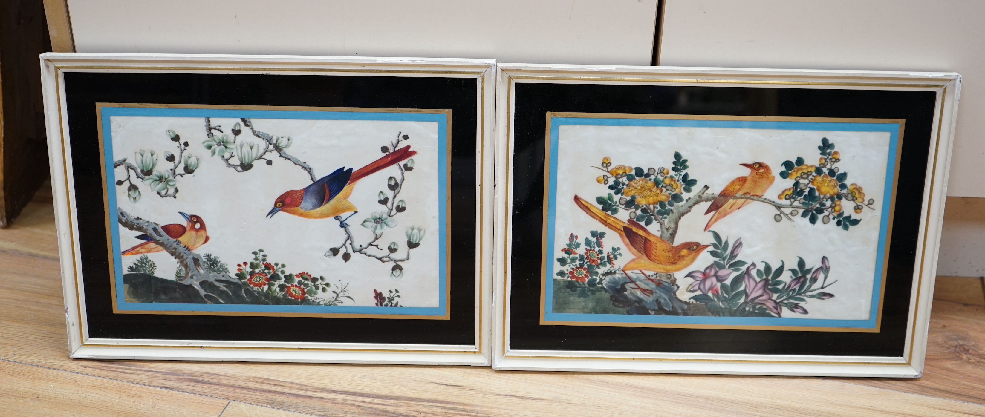 19th century Chinese school, pair of pith paper paintings, Birds of paradise amongst flowers, 17 x 28cm                                                                                                                     