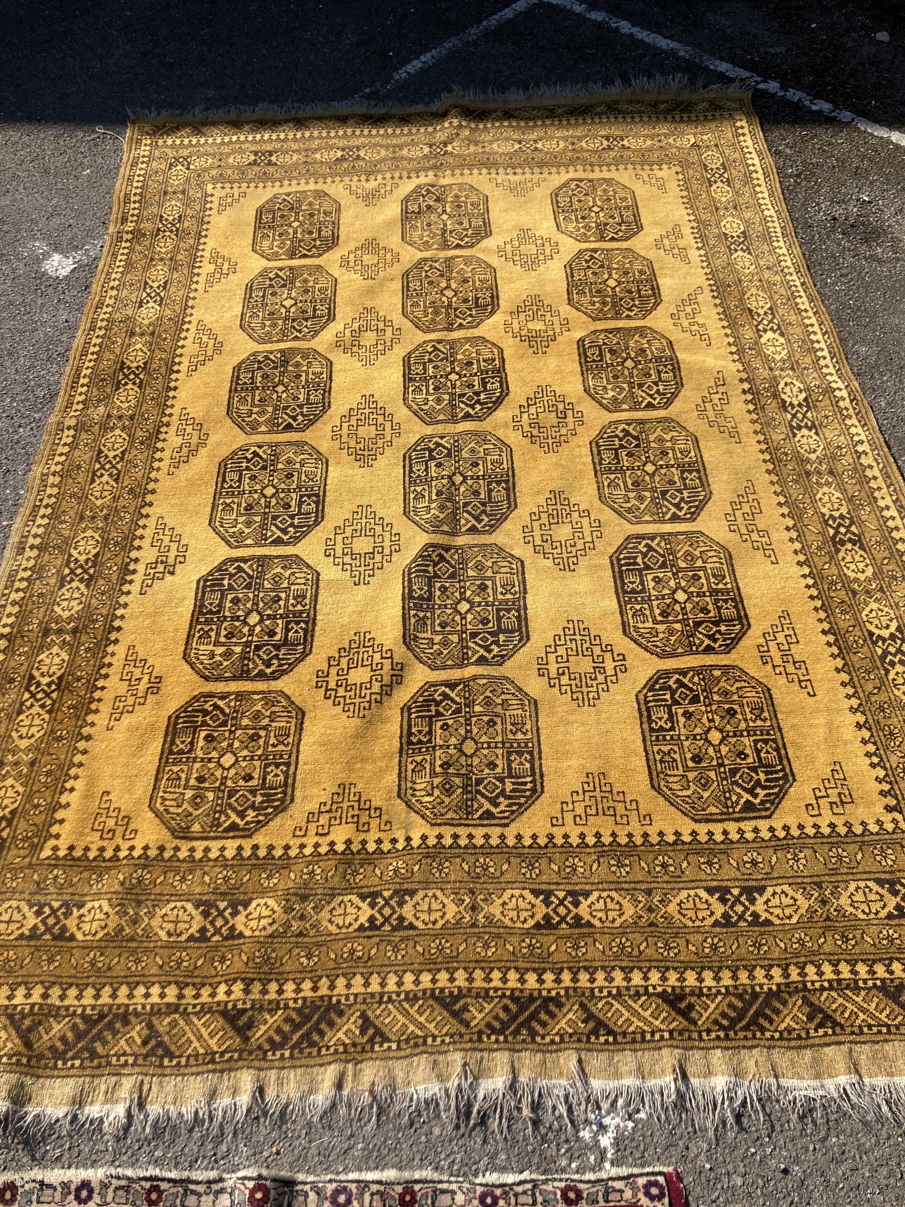 An Afghan gold ground carpet, 300 x 200cm                                                                                                                                                                                   