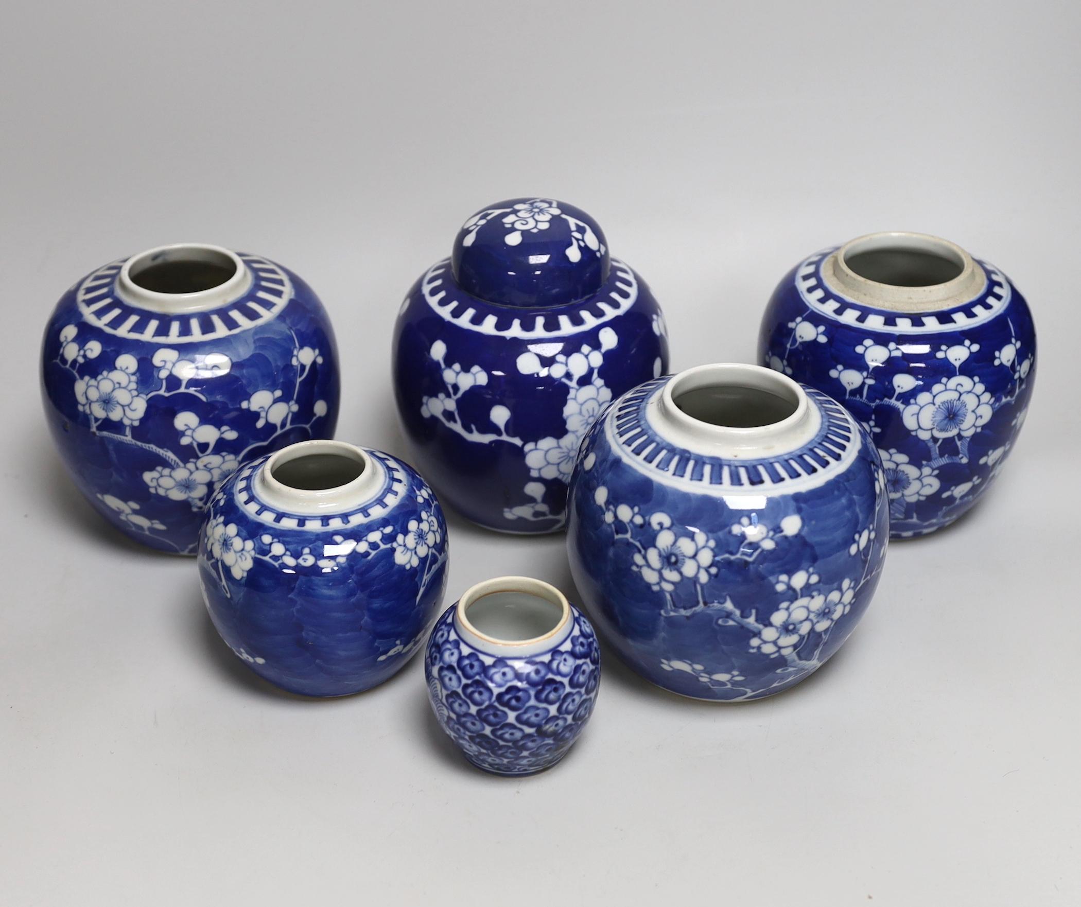 Five Chinese blue and white prunus ginger jars, one with cover- 15cm high and another jar                                                                                                                                   