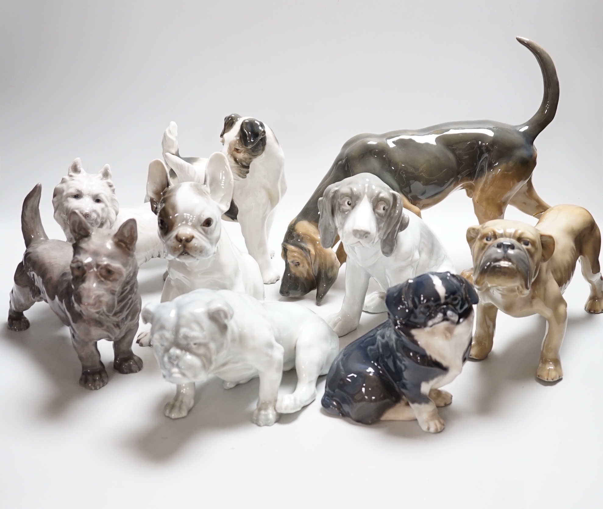 Nine models of dogs; Royal Copenhagen, B&G and Rosenthal etc including terriers, bulldogs, King Charles spaniel, etc, the largest 30cm wide                                                                                 