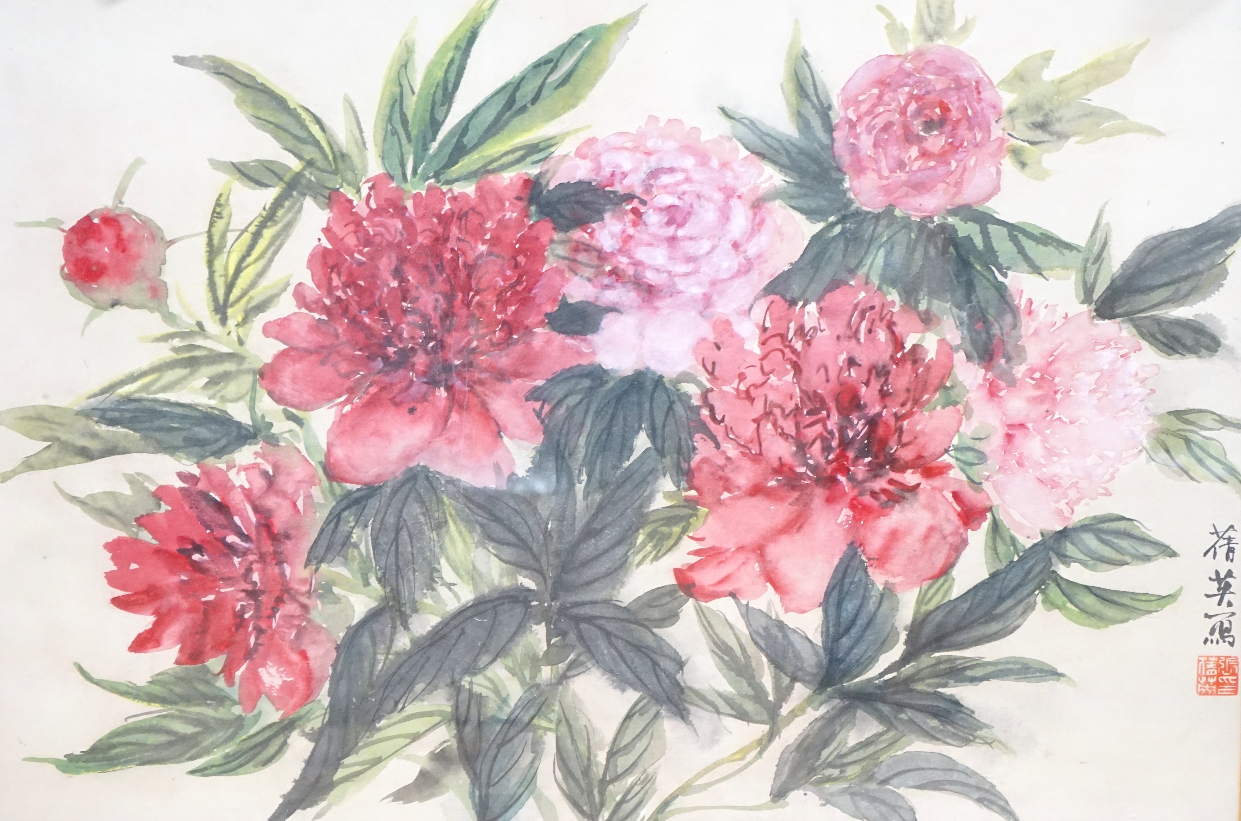 Chien Ying Chang ARWA (1913-2003), watercolour, Peonies, signed, with label verso, 50 x 70cm                                                                                                                                