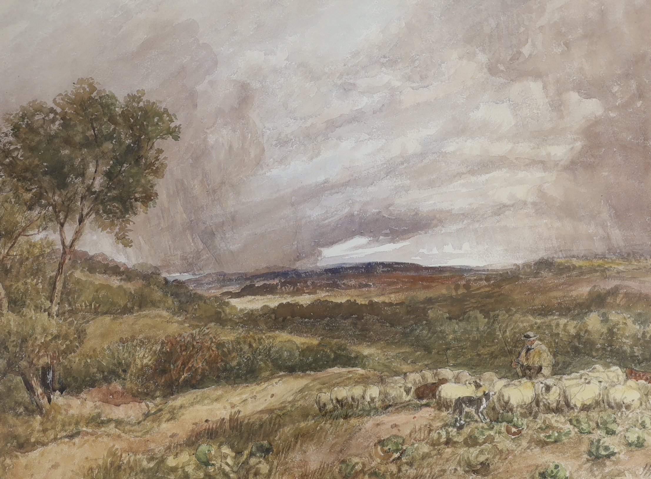 19th century English School, watercolour, Rural landscape with shepherd and flock, indistinctly signed and inscribed, 74 x 54cm                                                                                             