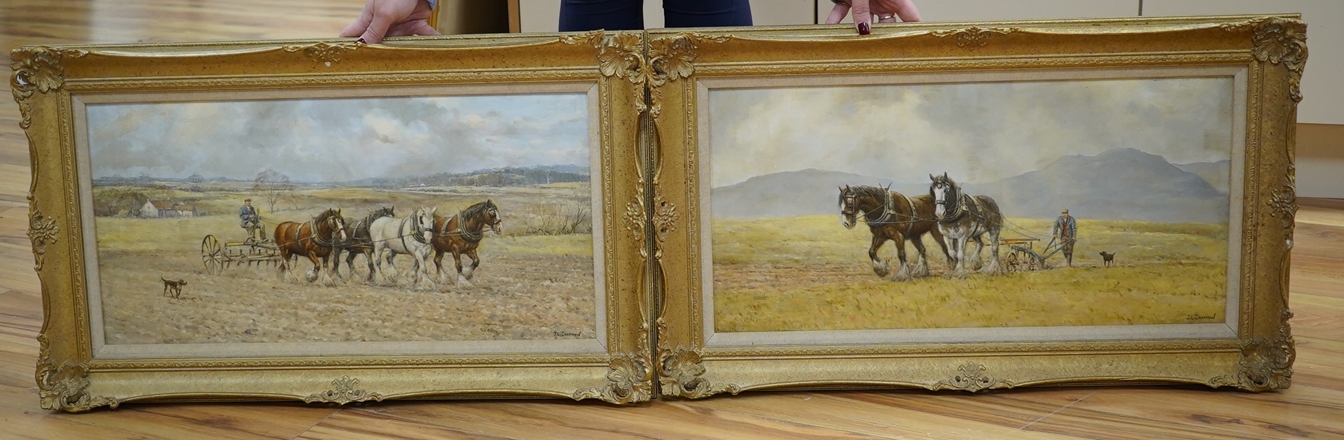 John Chapman (b.1946), pair of oils on board, Plough horses including ‘Spring Corn Drilling’, each signed, 29 x 60cm, ornate gilt framed. Condition - good                                                                  