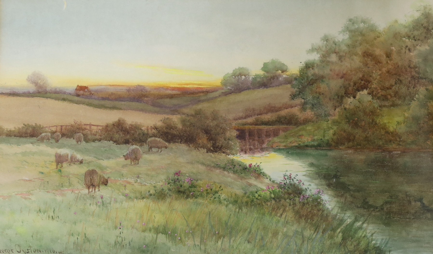 George Oyston (1861-1937), watercolour, Sheep in a meadow at sunset, signed and dated 1910, 26 x 44cm                                                                                                                       