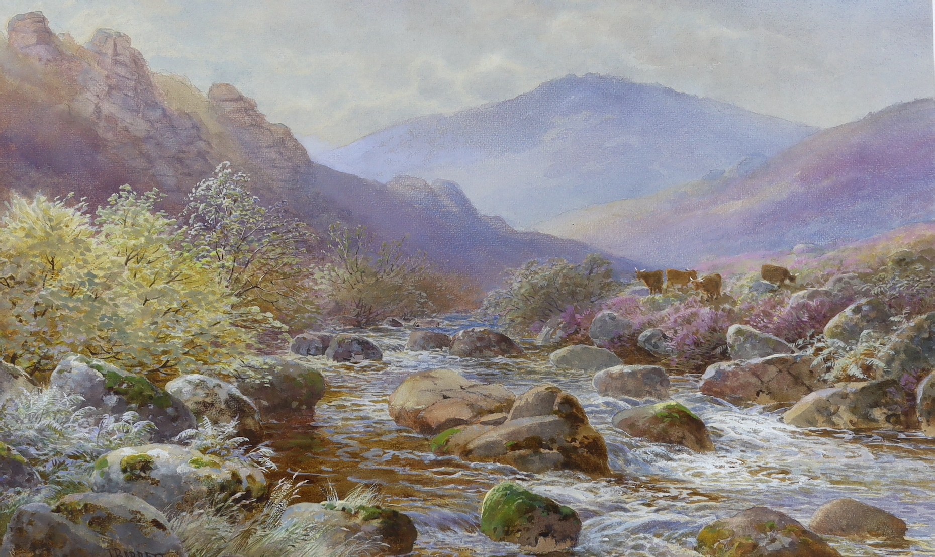 John Barrett (1822-1893), watercolour, Highland cattle beside a stream, signed, 35 x 58cm                                                                                                                                   