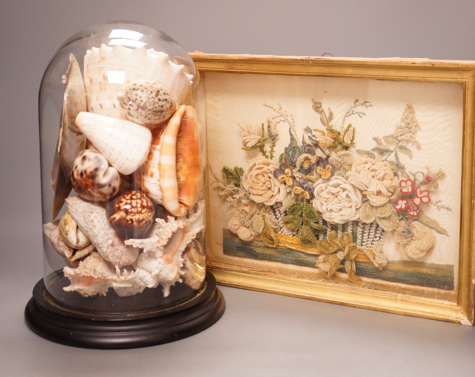 A Victorian chenille bouquet, framed and a shell arrangement, under a glass dome                                                                                                                                            