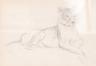 Default Thumbnail Image A