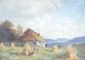 Default Thumbnail Image A