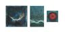Default Thumbnail Image A