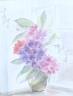 Default Thumbnail Image A