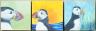 Default Thumbnail Image A